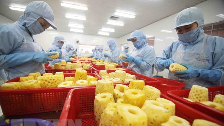 Vietnamese firms seek to promote farm produce export to Russia, EAEU